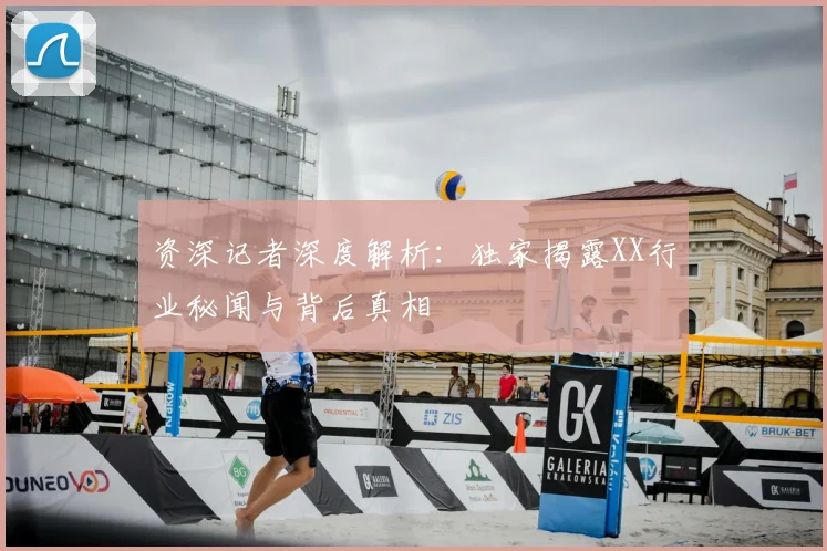 资深记者深度解析：独家揭露XX行业秘闻与背后真相
