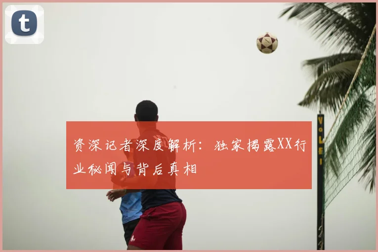 资深记者深度解析:独家揭露XX行业秘闻与背后真相