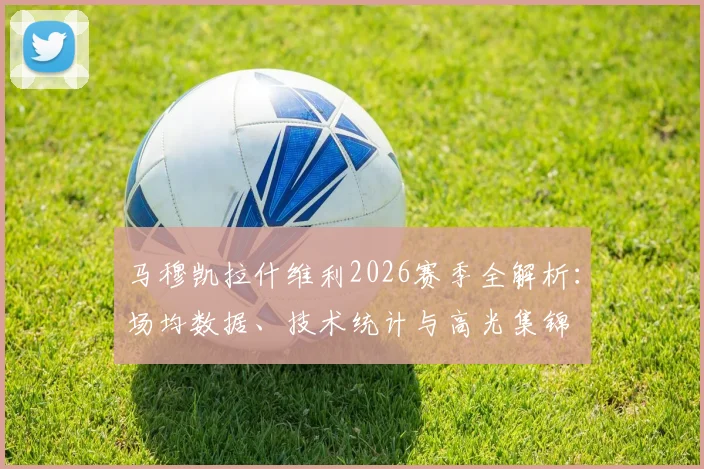 马穆凯拉什维利2026赛季全解析：场均数据、技术统计与高光集锦